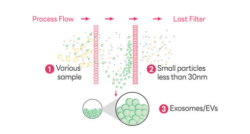 Exosome Extractor Features