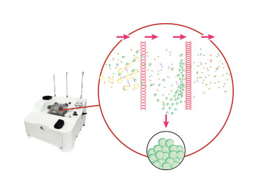 Multi-step filtration